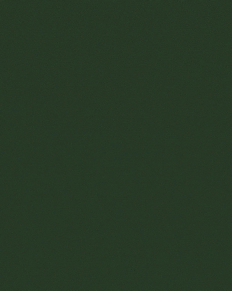 HS 436-5021 / Tmavozelená