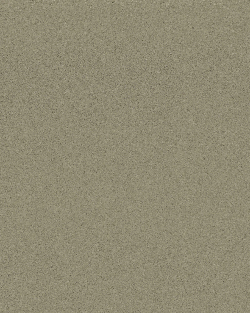 HS 436-1016 / Silver Alux